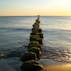 Strand von Hiddensee