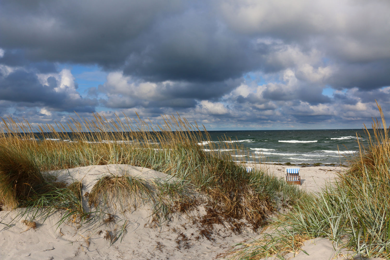 Strand von Hiddensee Sommer 2018.