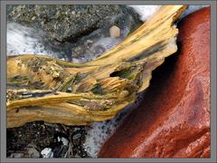 Strand von Hiddensee	6