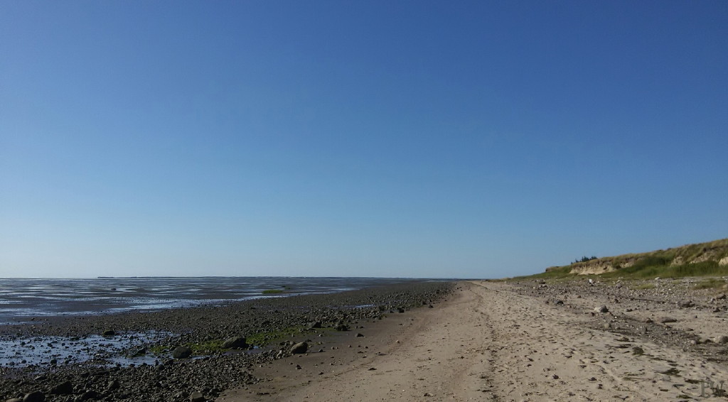 Strand von Hjerpsted-Ballum/DK...