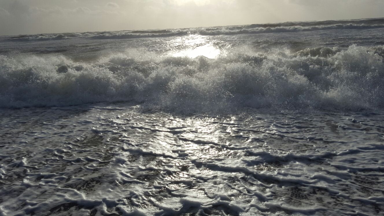 Strand von Hvide Sande