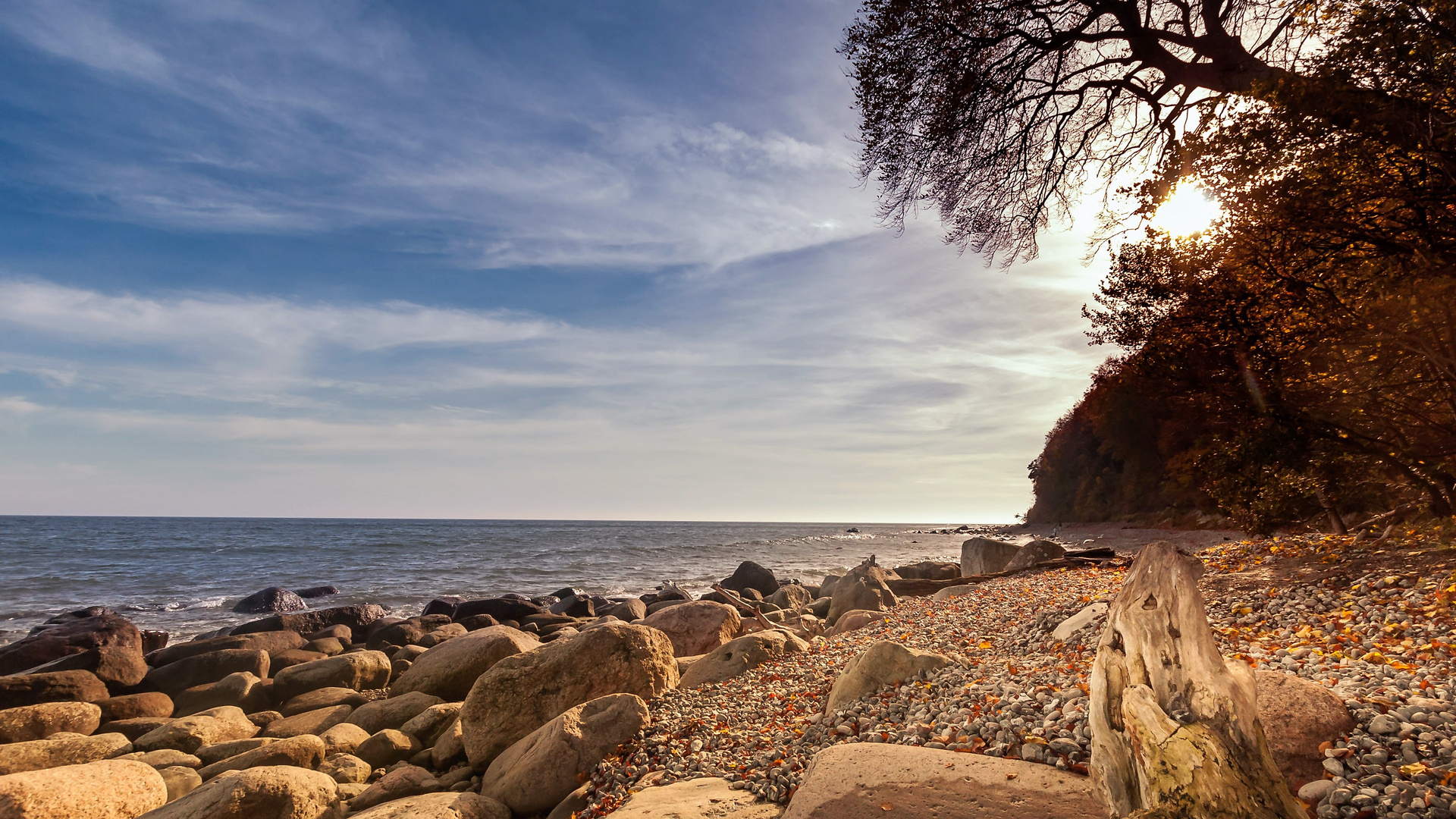 Strand von Jasmund/Rügen