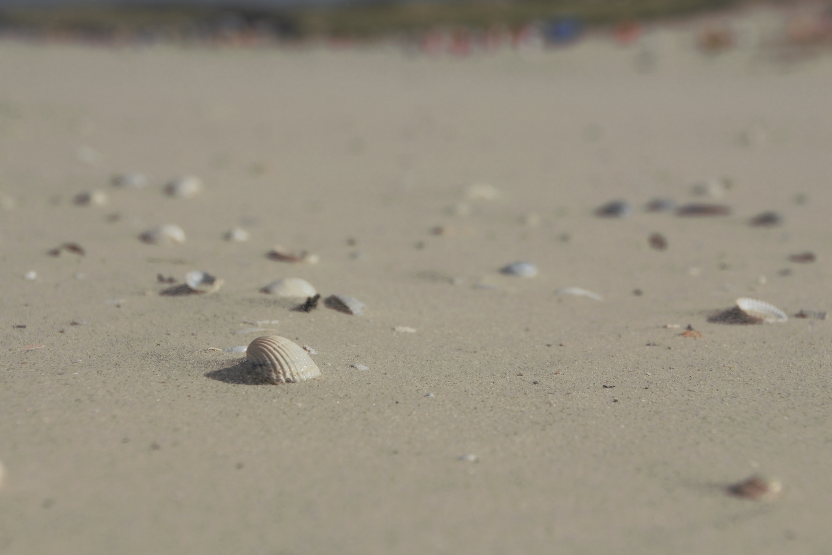 Strand von Juist