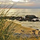 Strand von Lönstrup Dänemark (1)