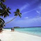 Strand von Machchafushi im Ari Atoll 2000