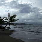 Strand von Manzanillo in Costa Rica