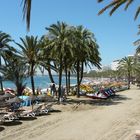 Strand von Marbella (2)