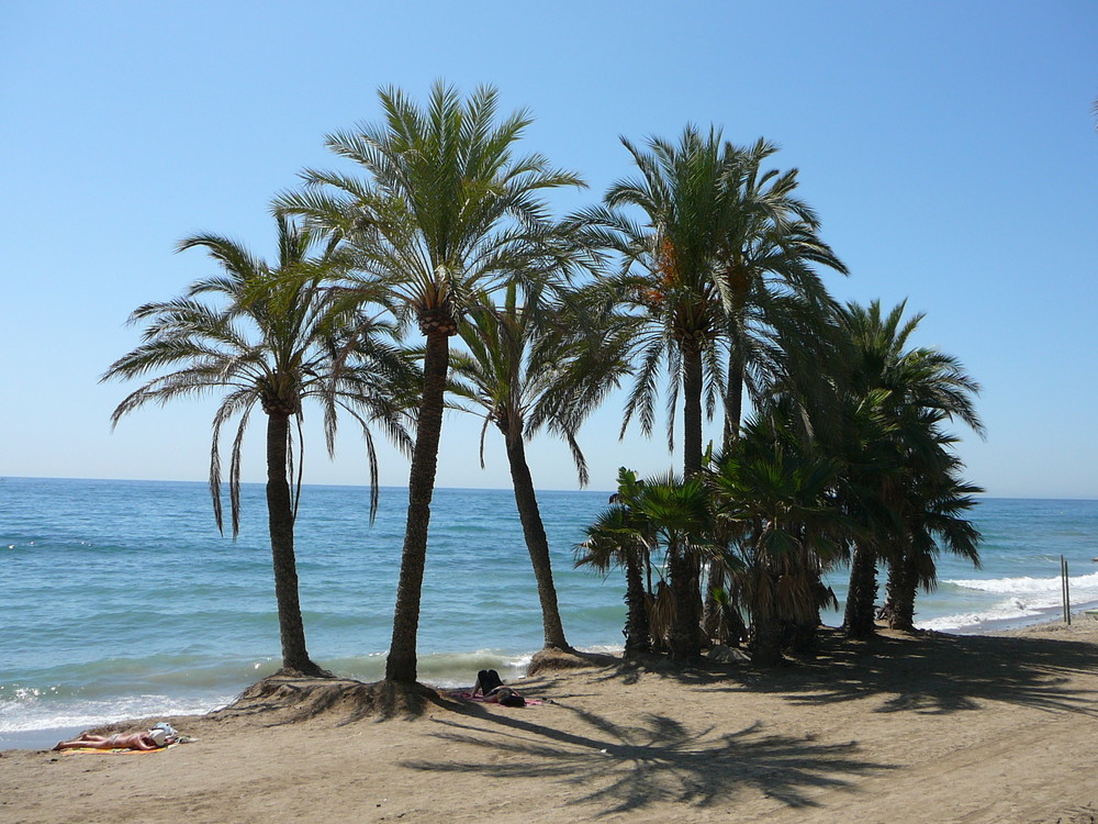 Strand von Marbella (4)