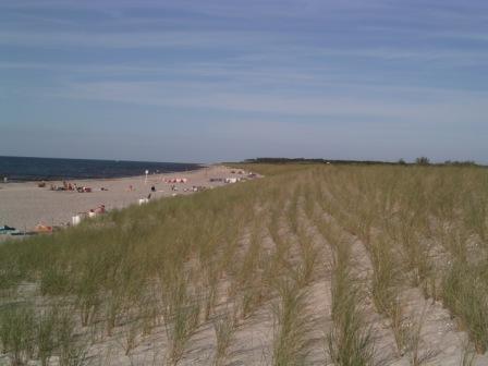 Strand von Markgraphenheide am Tag