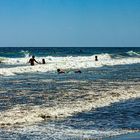 Strand von Maspalomas