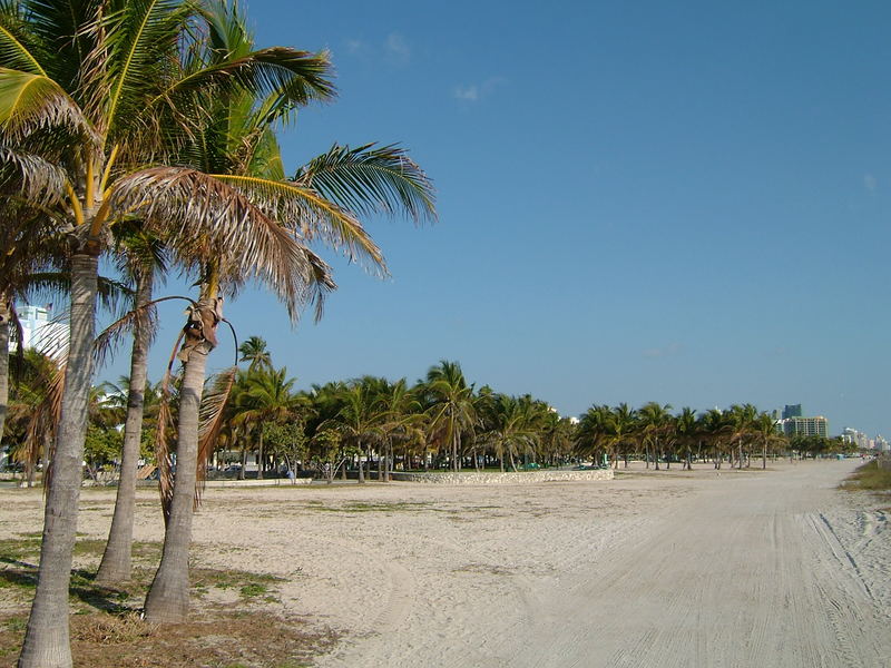 Strand von Miami