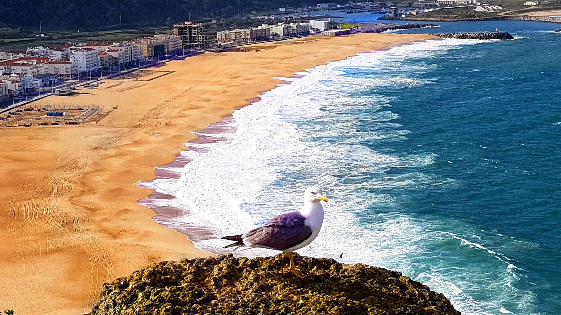 Strand von Nazaré, Portugal