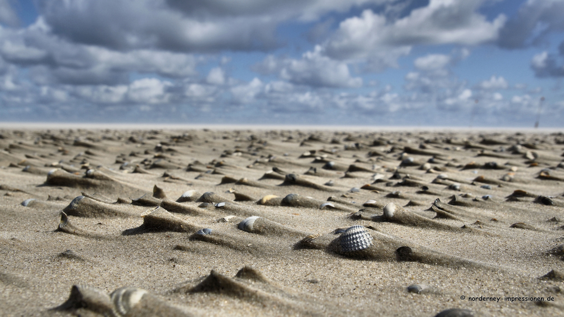 Strand von Norderney nach einem Unwetter