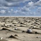 Strand von Norderney nach einem Unwetter