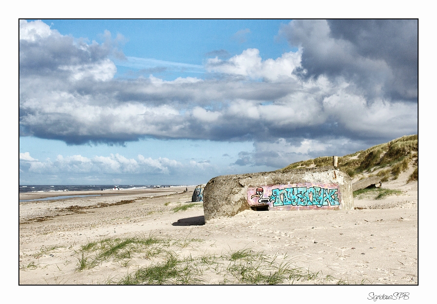 Strand von Nymindegab....