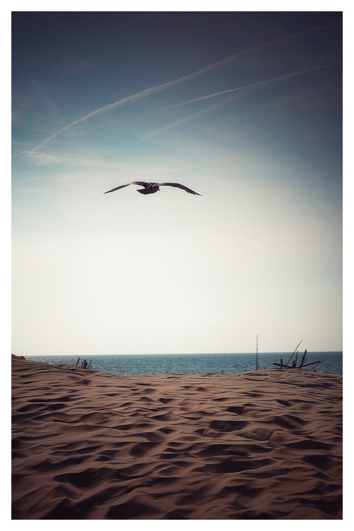 Strand von Ouddorp