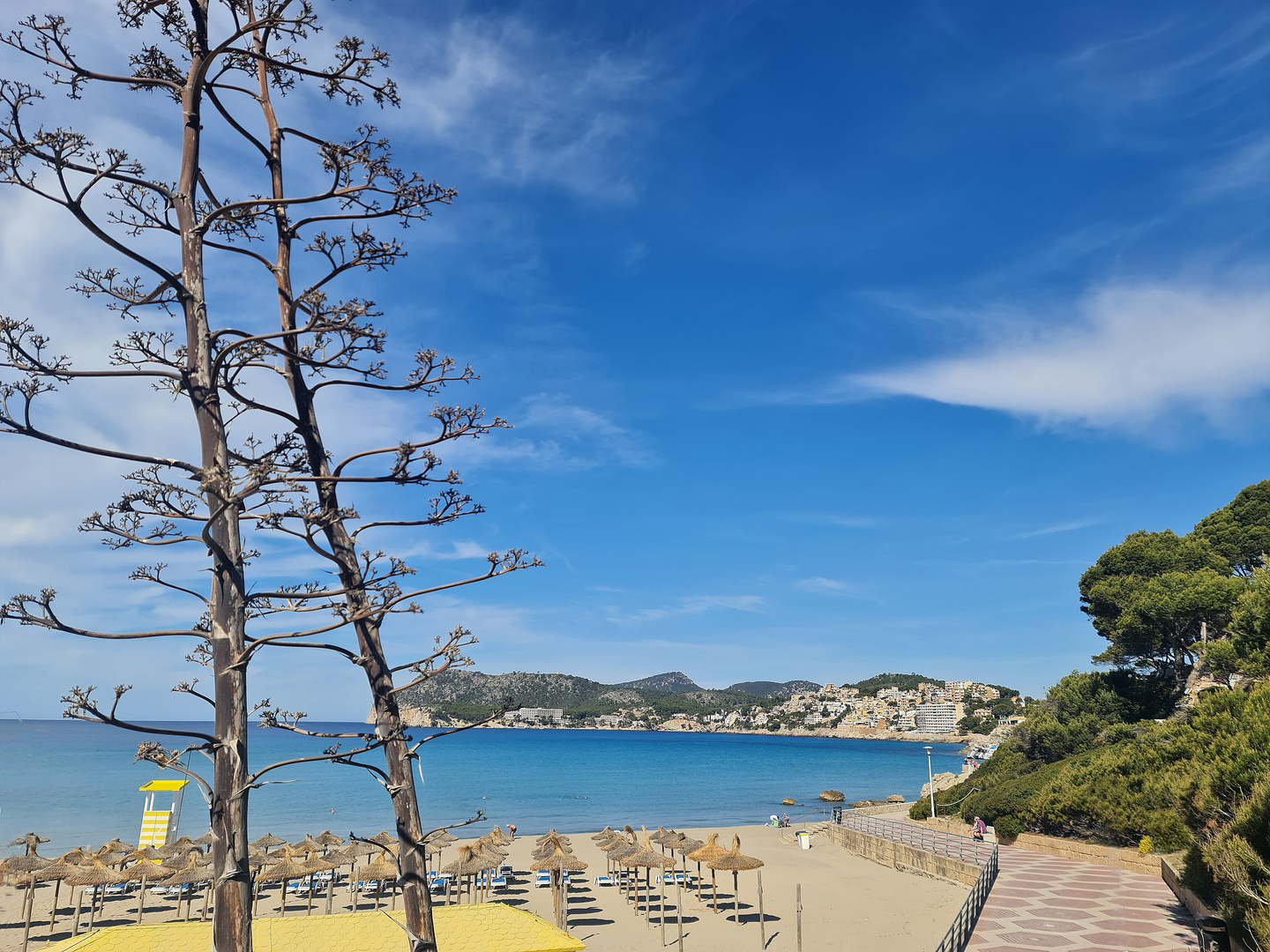 Strand von Paguera