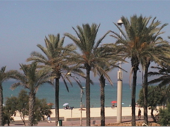 Strand von Playa de Palma