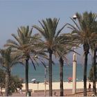 Strand von Playa de Palma