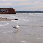 Strand von Prora