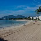 Strand von Puerto de Alcudia Mallorca