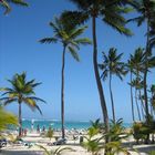 Strand von Punta Cana