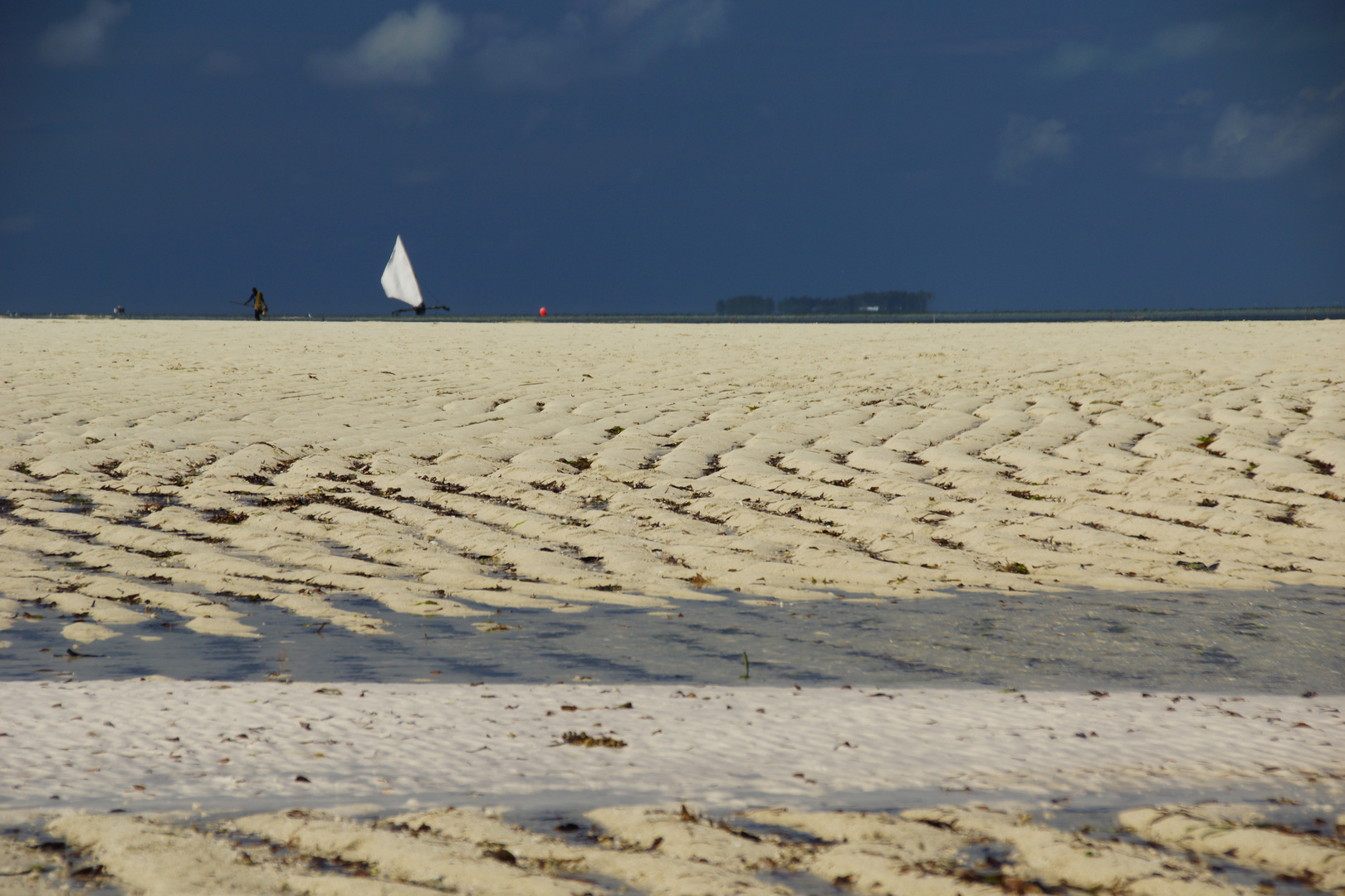 Strand von Pwani auf Sansibar bei Ebbe