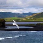 Strand von Reynisfjara