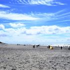 Strand von Texel 1