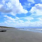 Strand von Texel 2