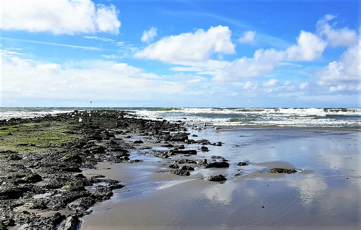 Strand von Texel 3