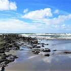 Strand von Texel 3