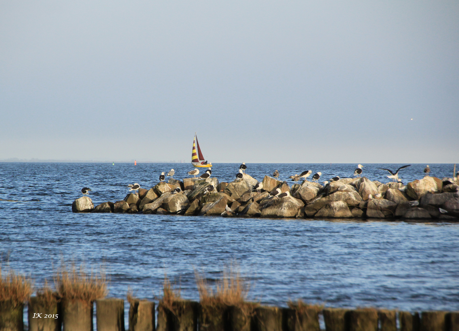 Strand von Ueckermünde