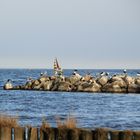 Strand von Ueckermünde