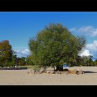 Strand von Ueckermünde