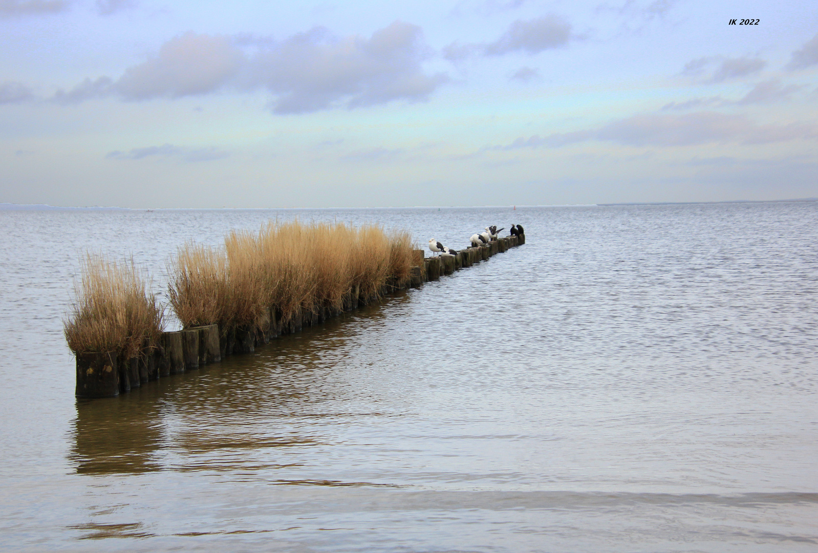 Strand von Ueckermünde