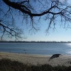 Strand von Wedel