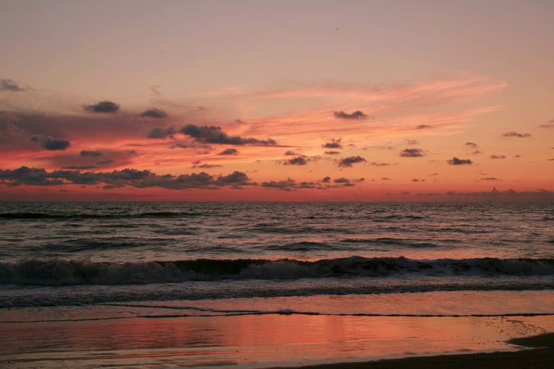 Strand von Zandvoort