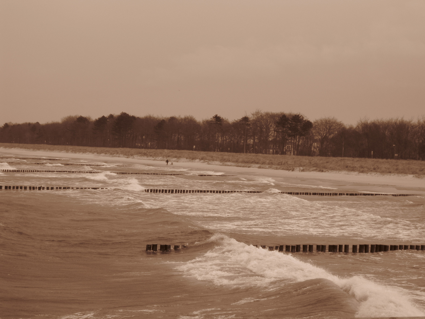 Strand von Zingst