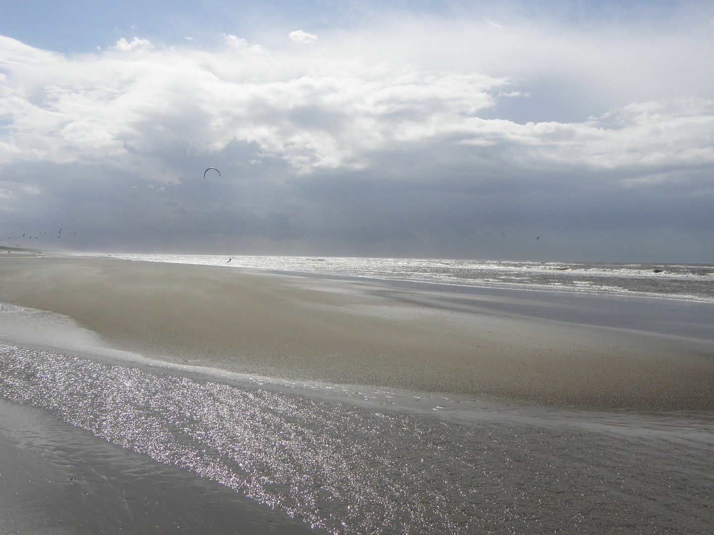 strand-voorjaar