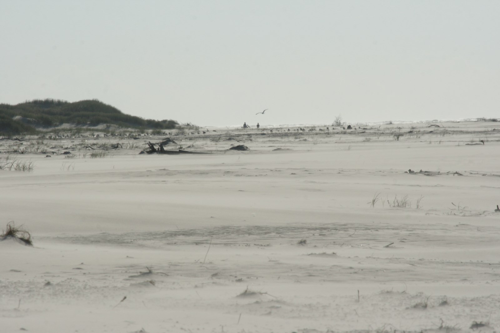 Strand vor den Wanderdünen von &#321;eba, &#321;eba, Polen