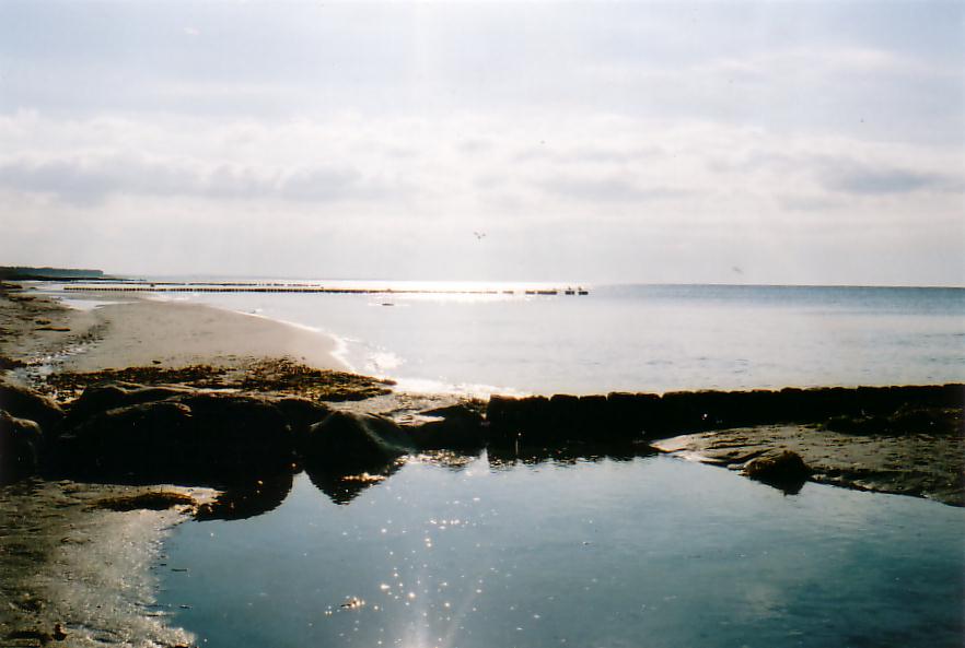 Strand vor Neuendorf/Hiddensee