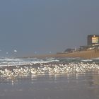 Strand vor Westerland/Sylt