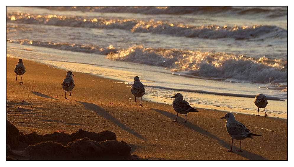 Strand - Wanderung