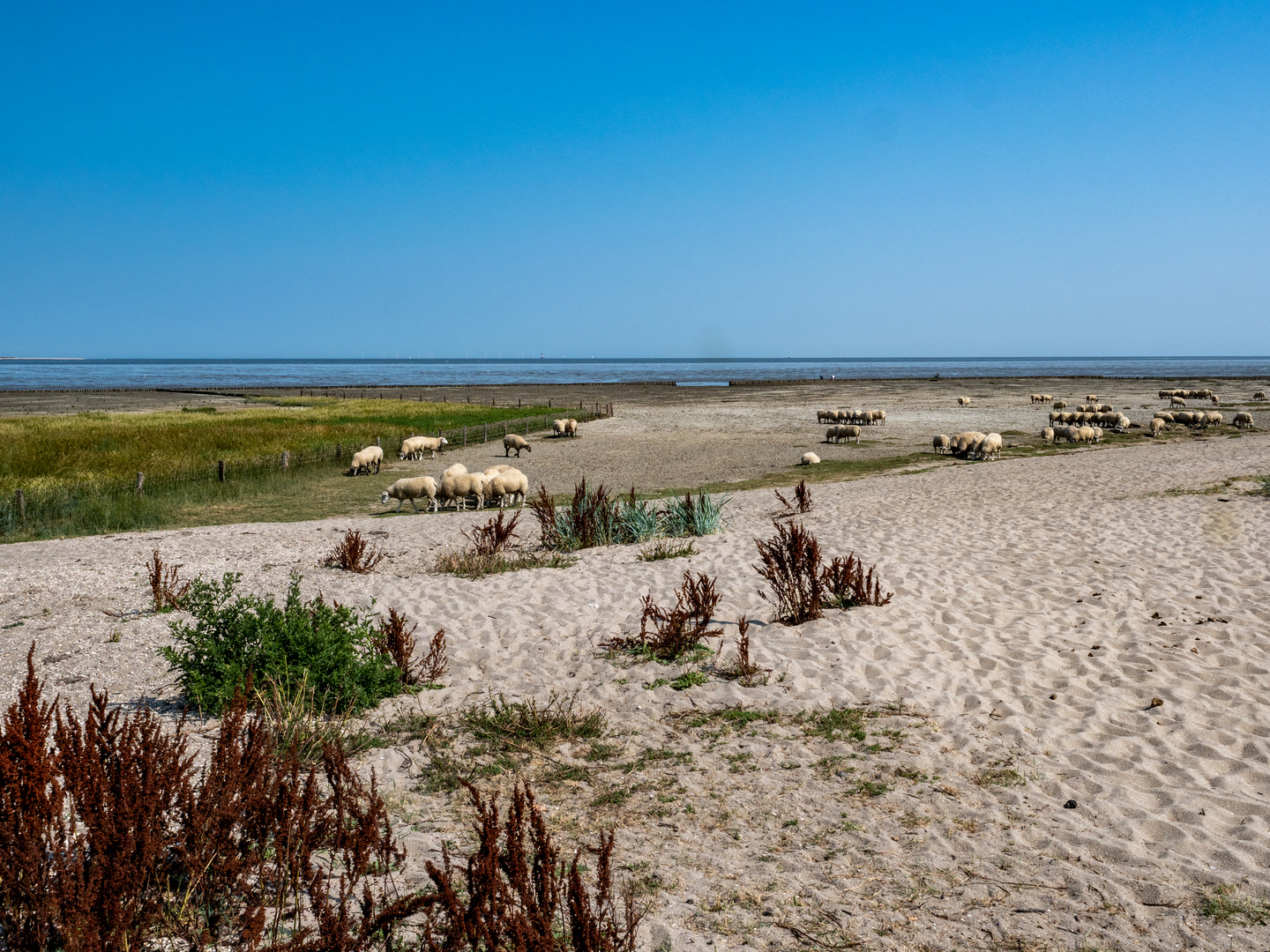 Strand Watt und Me(h)er