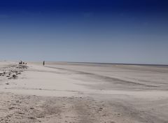 Strand Westerhever 2018