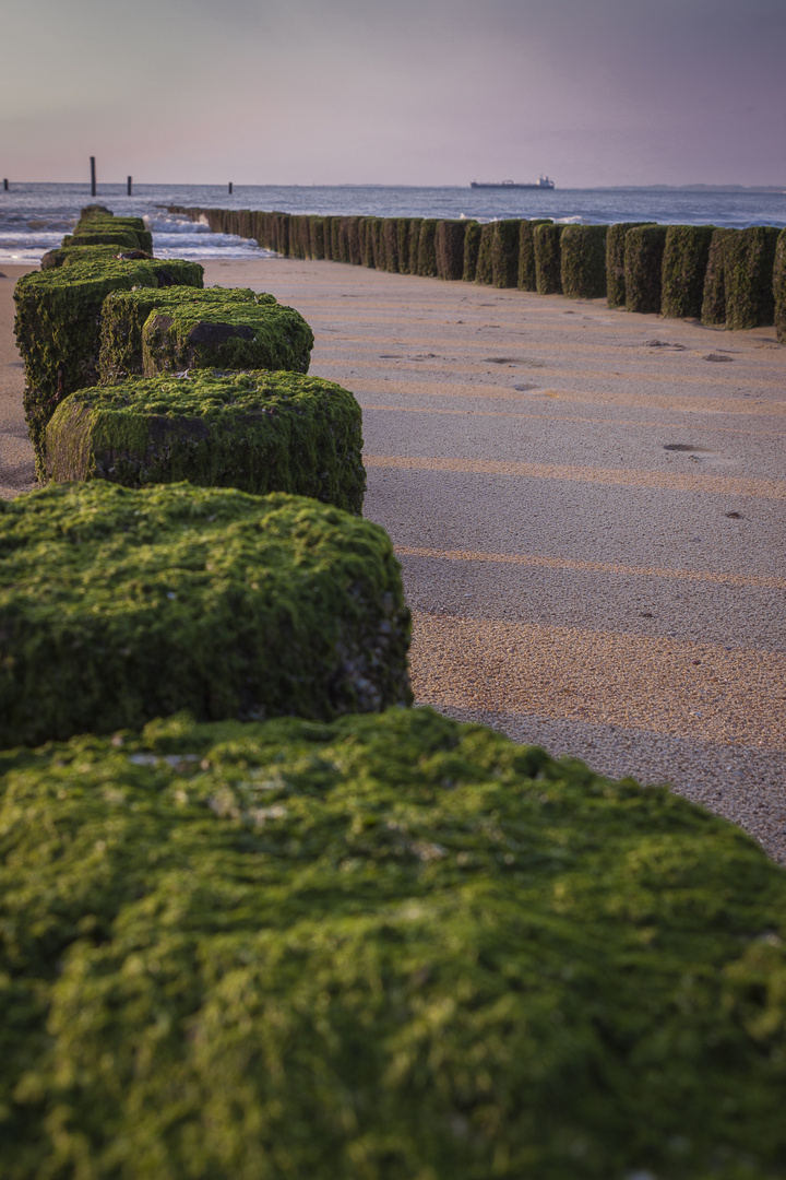 Strand Zeeland