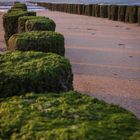 Strand Zeeland