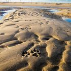 Strand Zeeland