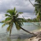 Strand zum Schnorcheln